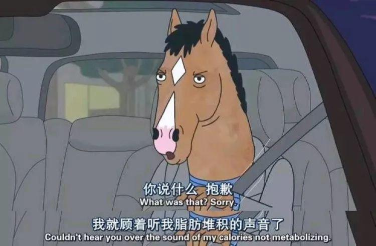 反鸡汤、高级颓，《马男波杰克》这32句台词每句都扎到你心坎里(图36)