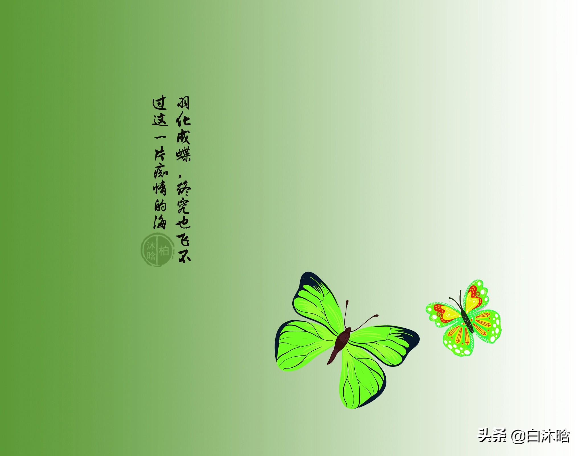 思念作茧，羽化成蝶，也飞过不这一片痴情的海(图2)