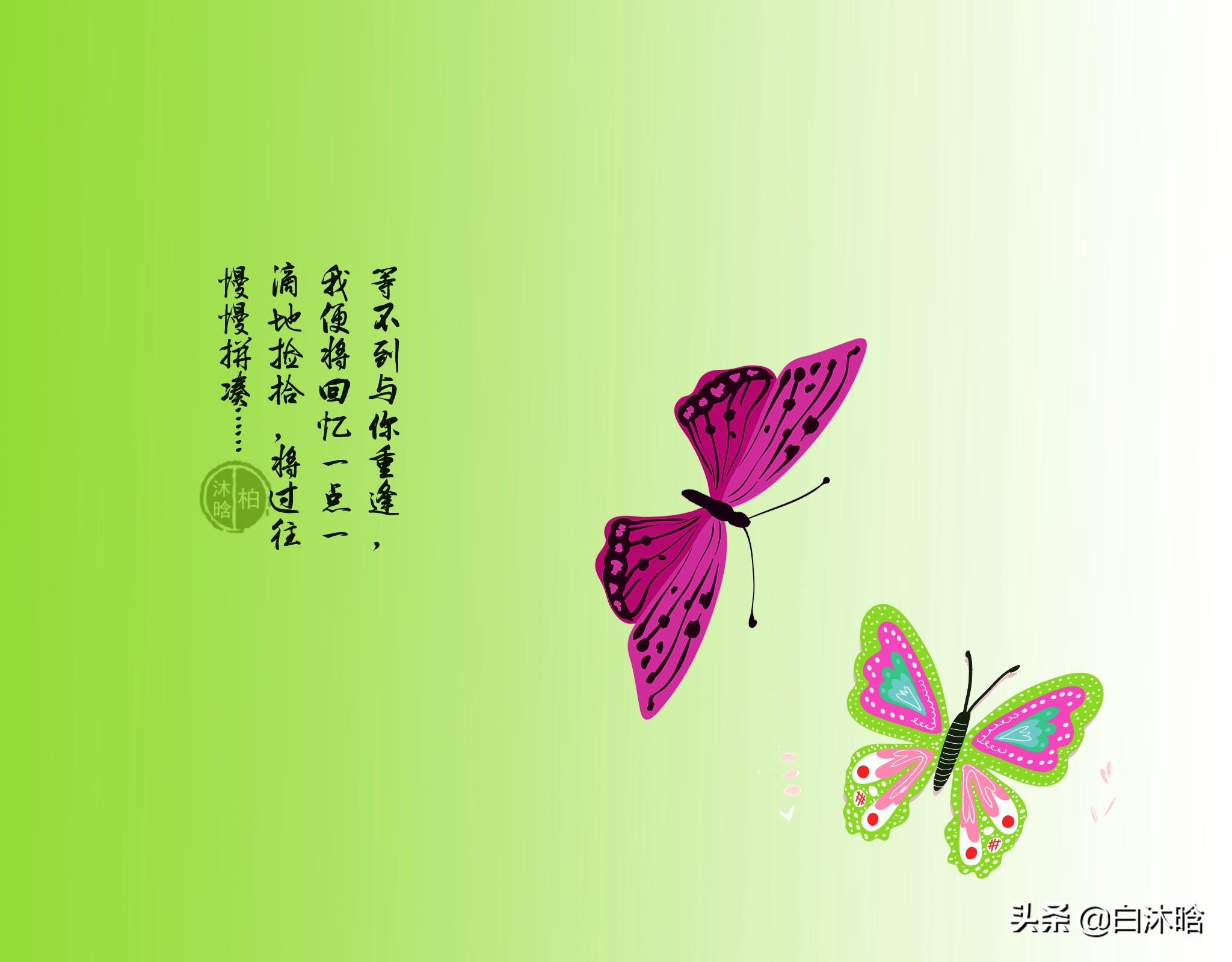 思念作茧，羽化成蝶，也飞过不这一片痴情的海(图3)