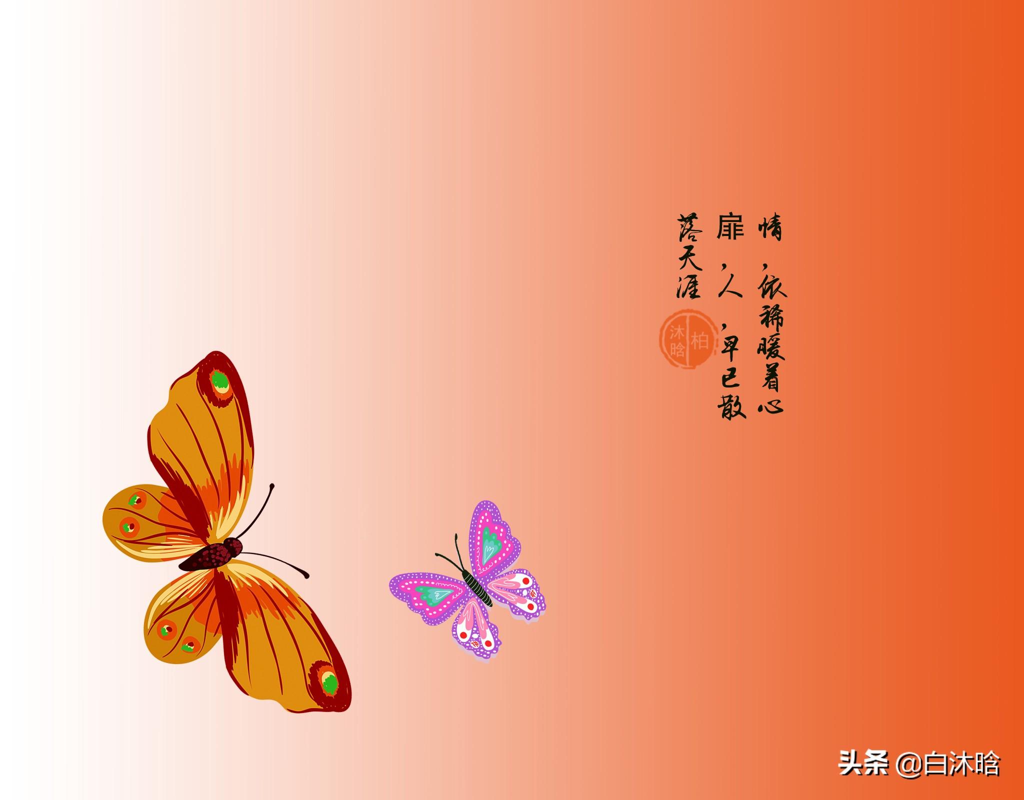 思念作茧，羽化成蝶，也飞过不这一片痴情的海(图5)