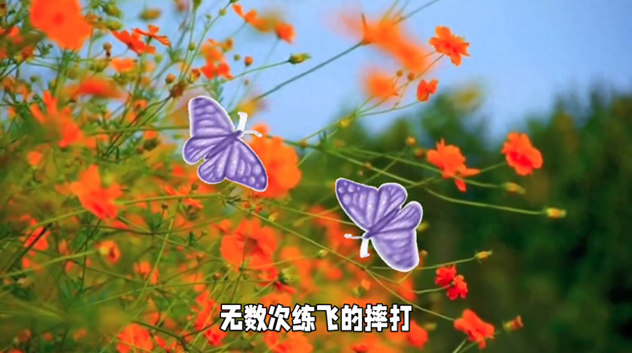 凤凰羽化成蝶(图1)