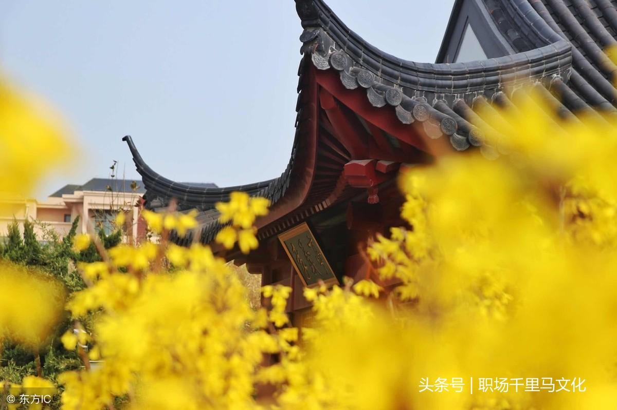 大道至简，34条修身启示语录，助你早日修成理想中的自己(图2)