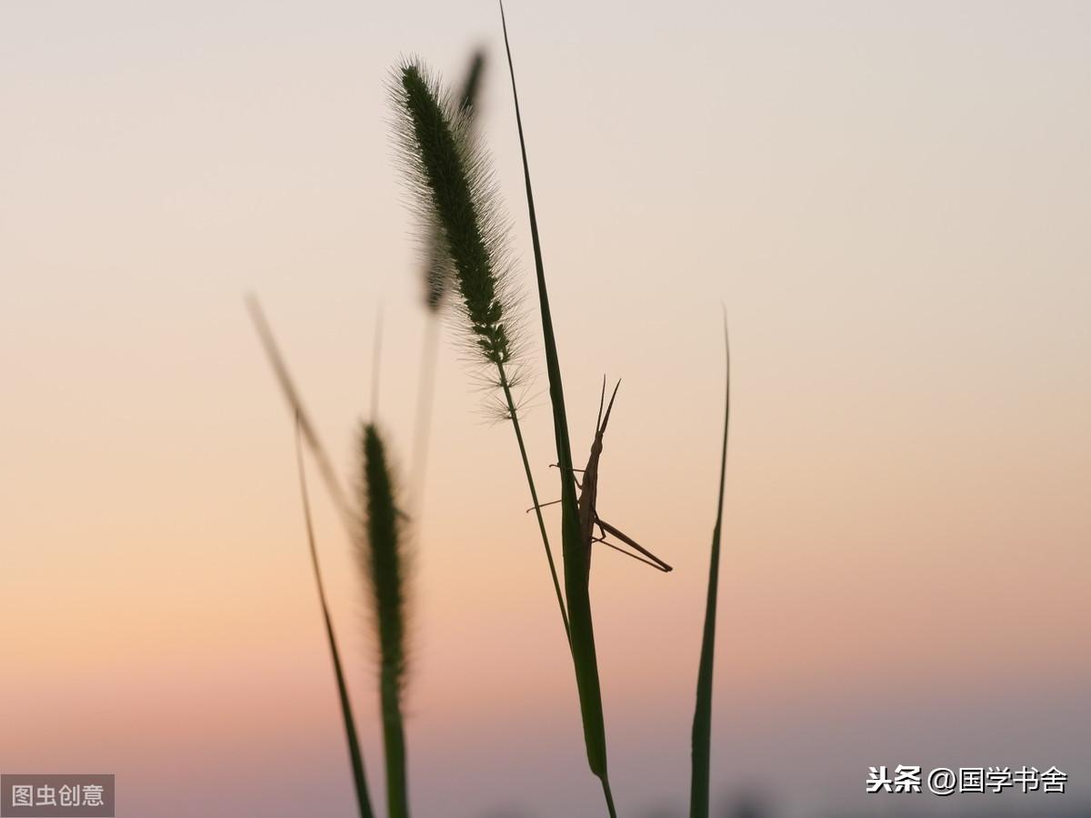 《道德经》：人生最好的状态，是“大道至简”(图3)