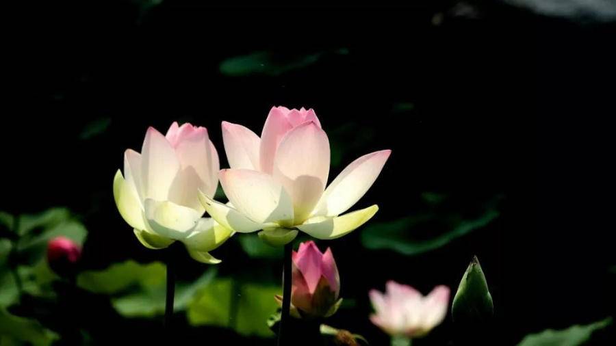 道德经：大道至简，繁在人心(图3)