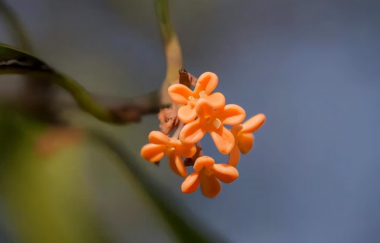 永远不要在朋友面前，随便说这四句话，切记！(图1)