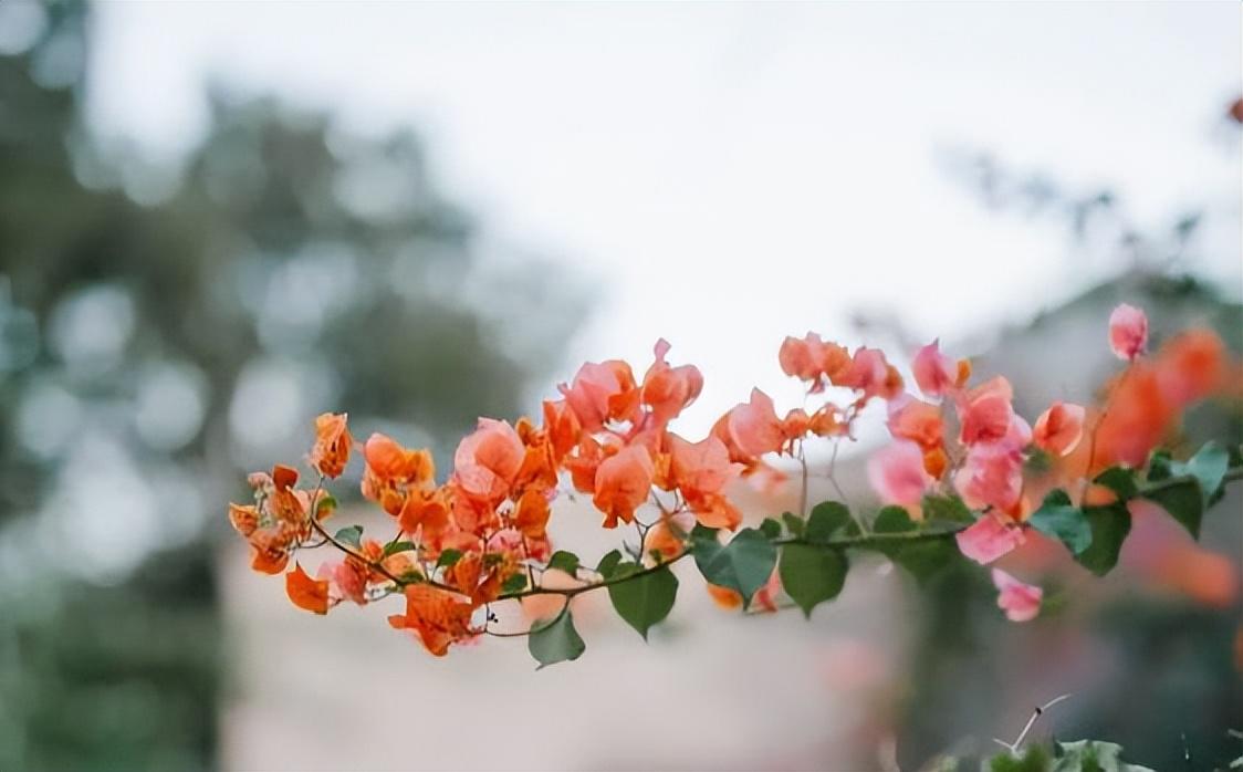 永远不要在朋友面前，随便说这四句话，切记！(图6)