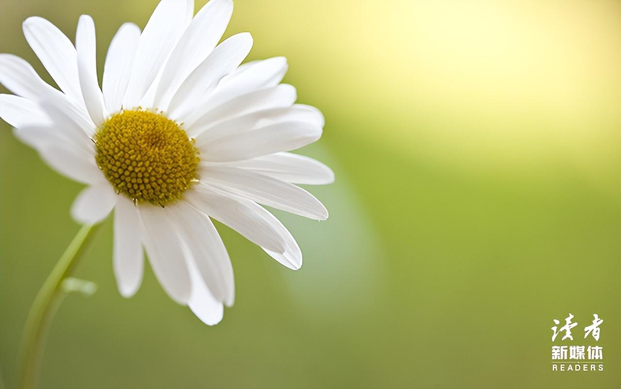 人到中年：不诉沧桑，不露锋芒，不减锐气(图6)