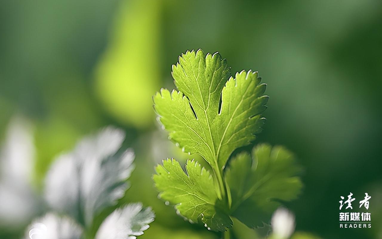 人到中年：不诉沧桑，不露锋芒，不减锐气(图8)
