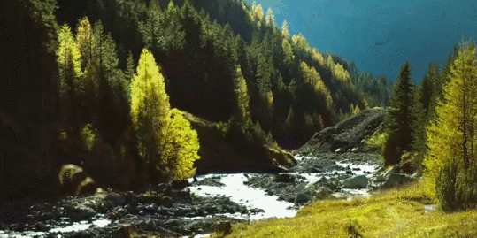 53句最唯美励志的英语句子欣赏，文字竟能如此有力量(图3)