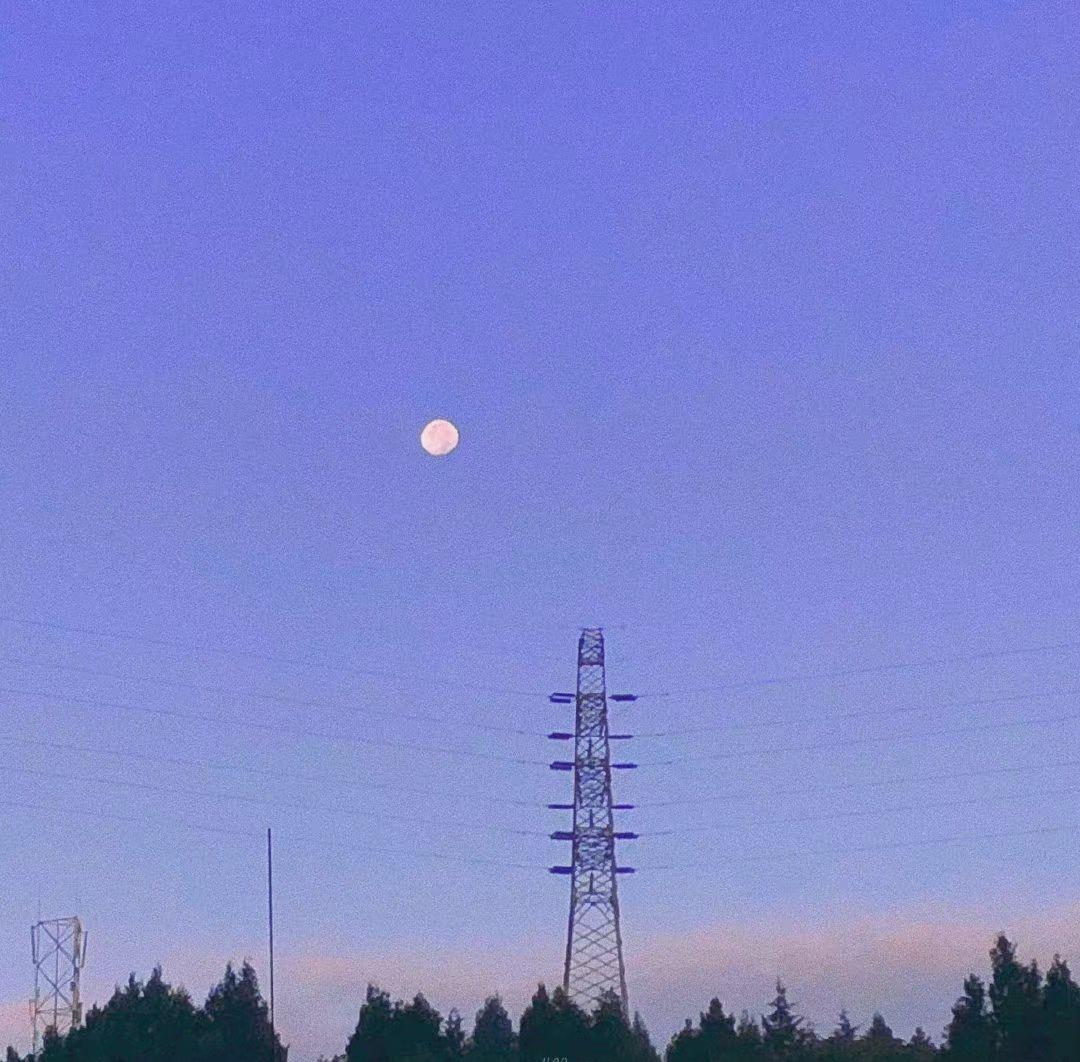 一些超温柔中英文案(图12)