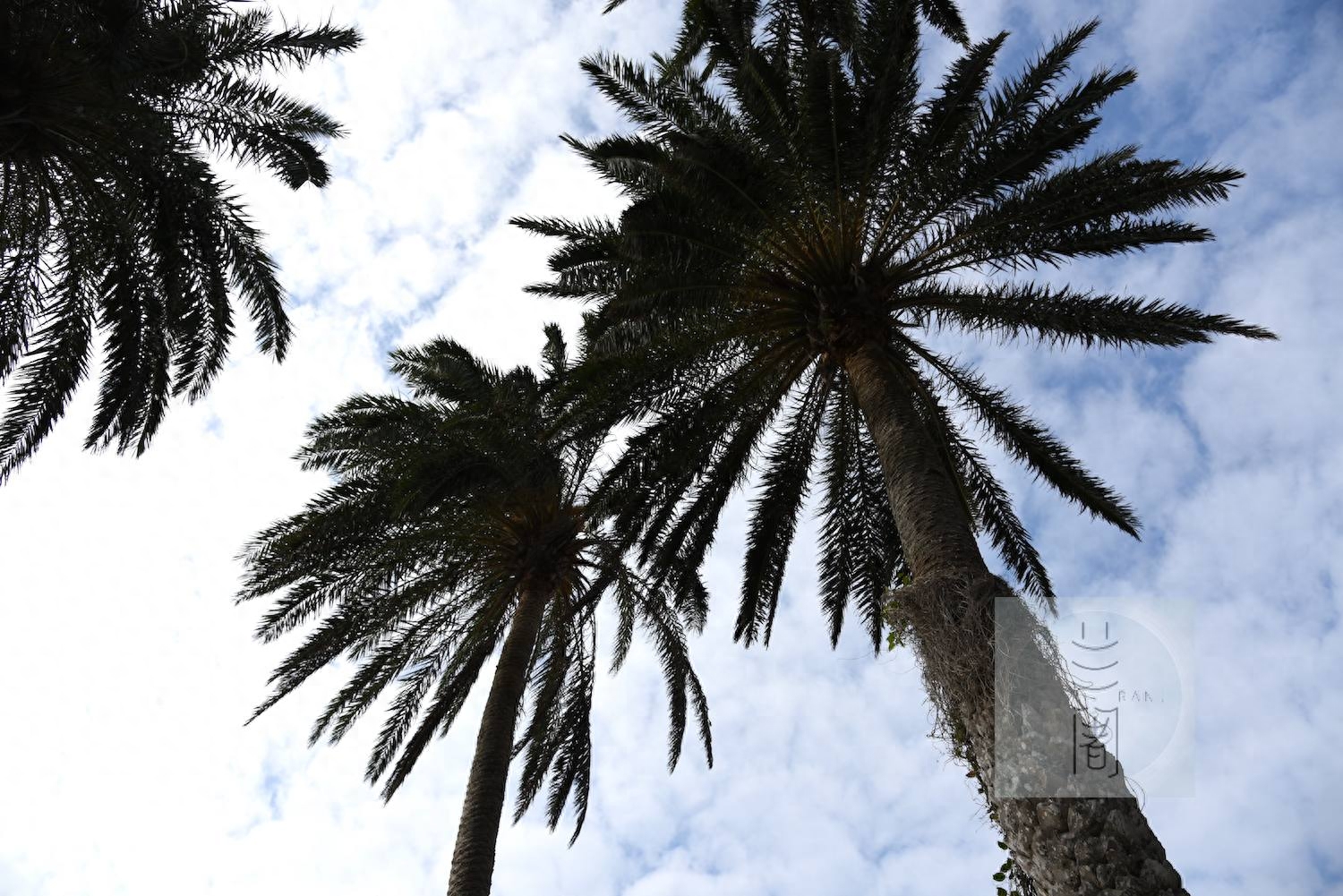 台湾垦丁鹅銮鼻灯塔：远东最大的海上灯塔，被称为“东亚之光”(图4)