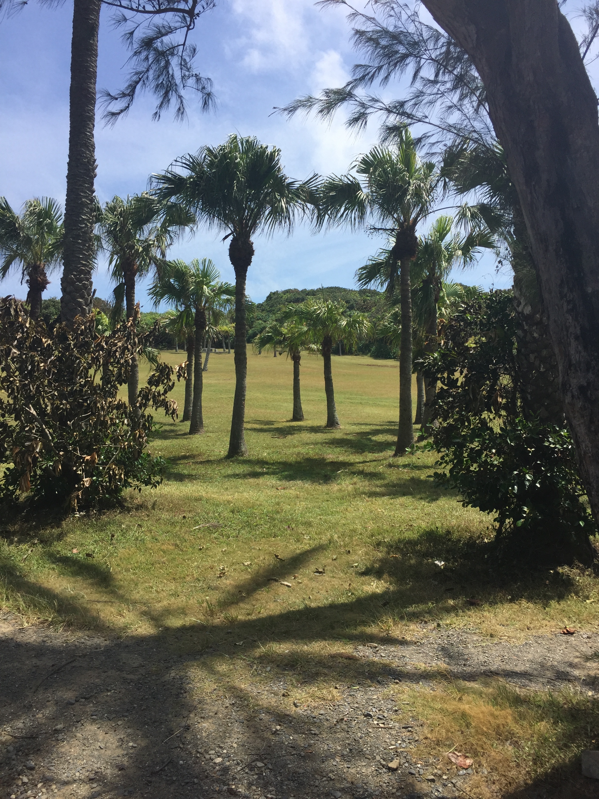 鹅銮鼻灯塔-垦丁的必游之处(图4)