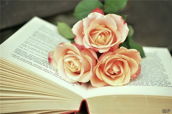 适合发说说的励志短句，让你霸气逆袭(图2)