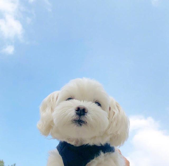 阳光正能量的励志说说短语，发朋友圈人见人爱(图2)