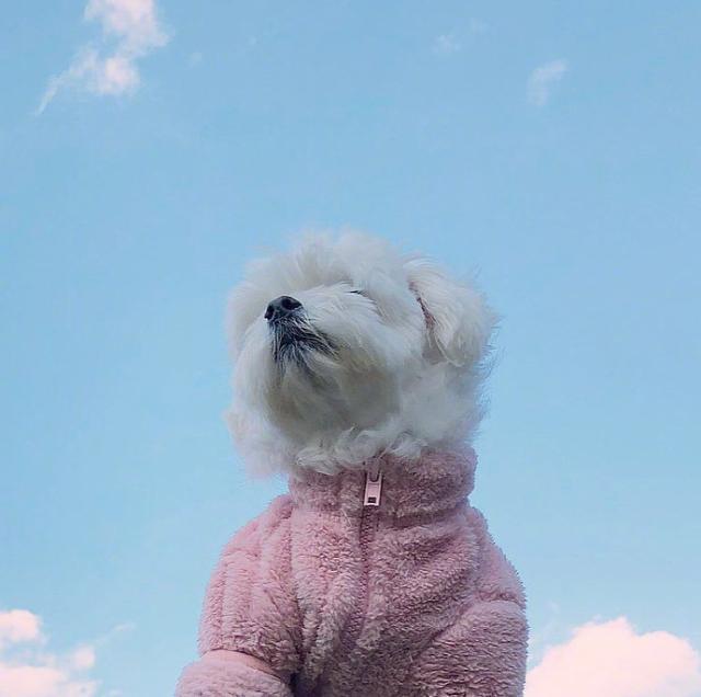 阳光正能量的励志说说短语，发朋友圈人见人爱(图3)