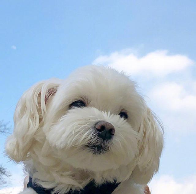 阳光正能量的励志说说短语，发朋友圈人见人爱(图5)