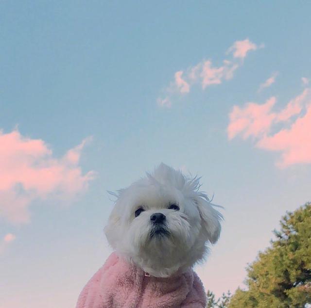 阳光正能量的励志说说短语，发朋友圈人见人爱(图6)