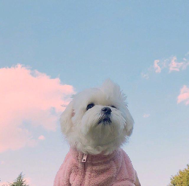 阳光正能量的励志说说短语，发朋友圈人见人爱(图7)