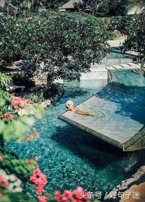 关于激励人的经典句子，迎着阳光，一路向前！(图1)