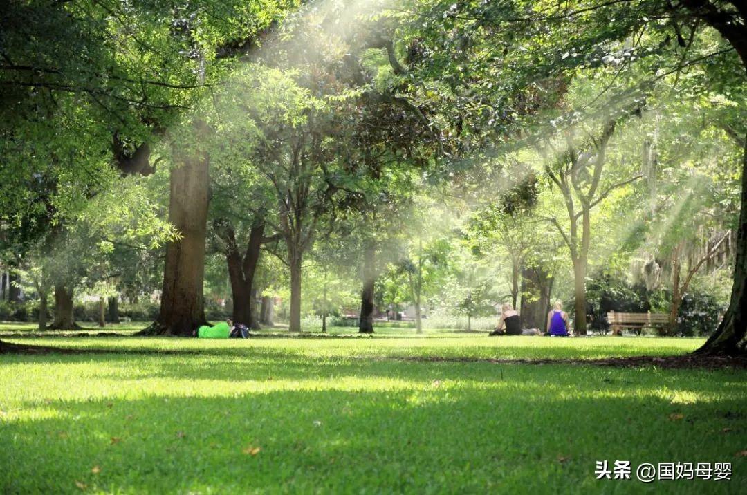 只有依靠自己，你才能活得底气十足(图1)