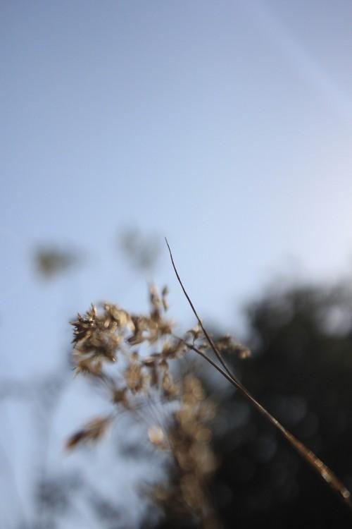 冰心20句名言警句，一生应该读一次(图2)