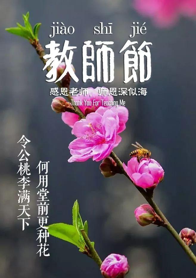 「诗词鉴赏」教师节，那些赞美老师的诗句(图5)
