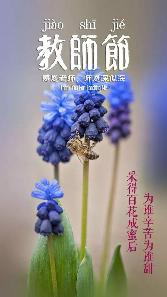 「诗词鉴赏」教师节，那些赞美老师的诗句(图13)