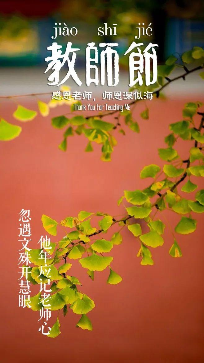 「诗词鉴赏」教师节，那些赞美老师的诗句(图15)