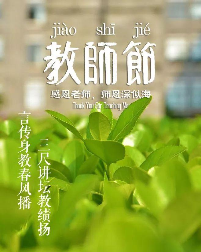 「诗词鉴赏」教师节，那些赞美老师的诗句(图23)