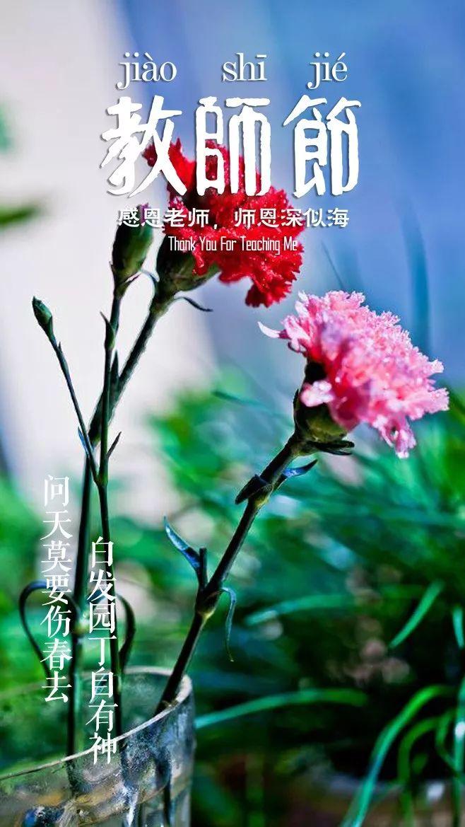 「诗词鉴赏」教师节，那些赞美老师的诗句(图27)