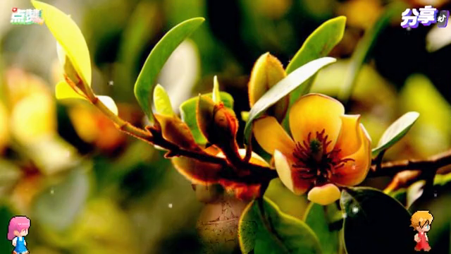 短视频感恩老师文案(图2)