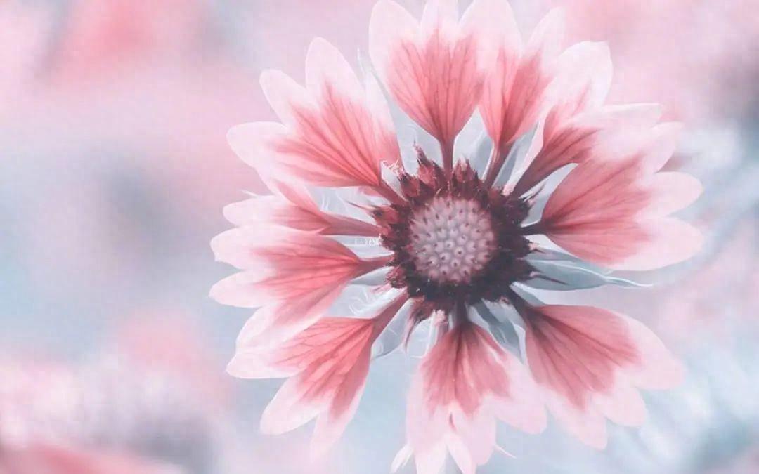 写给老师的祝福语，发朋友圈点赞连连!(图1)