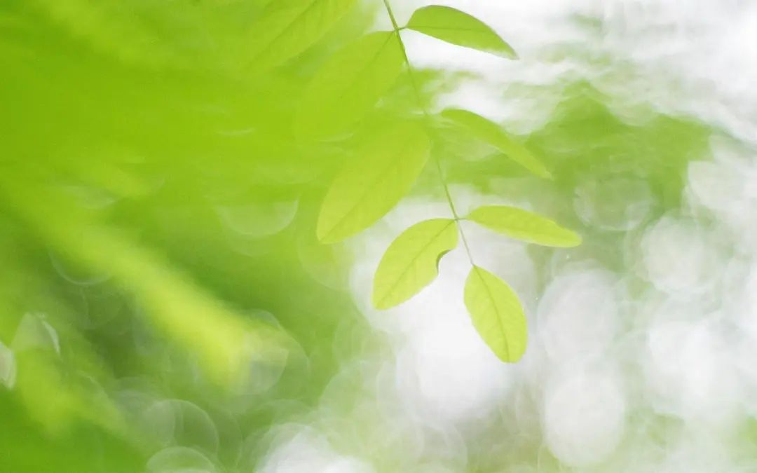 写给老师的祝福语，发朋友圈点赞连连!(图2)