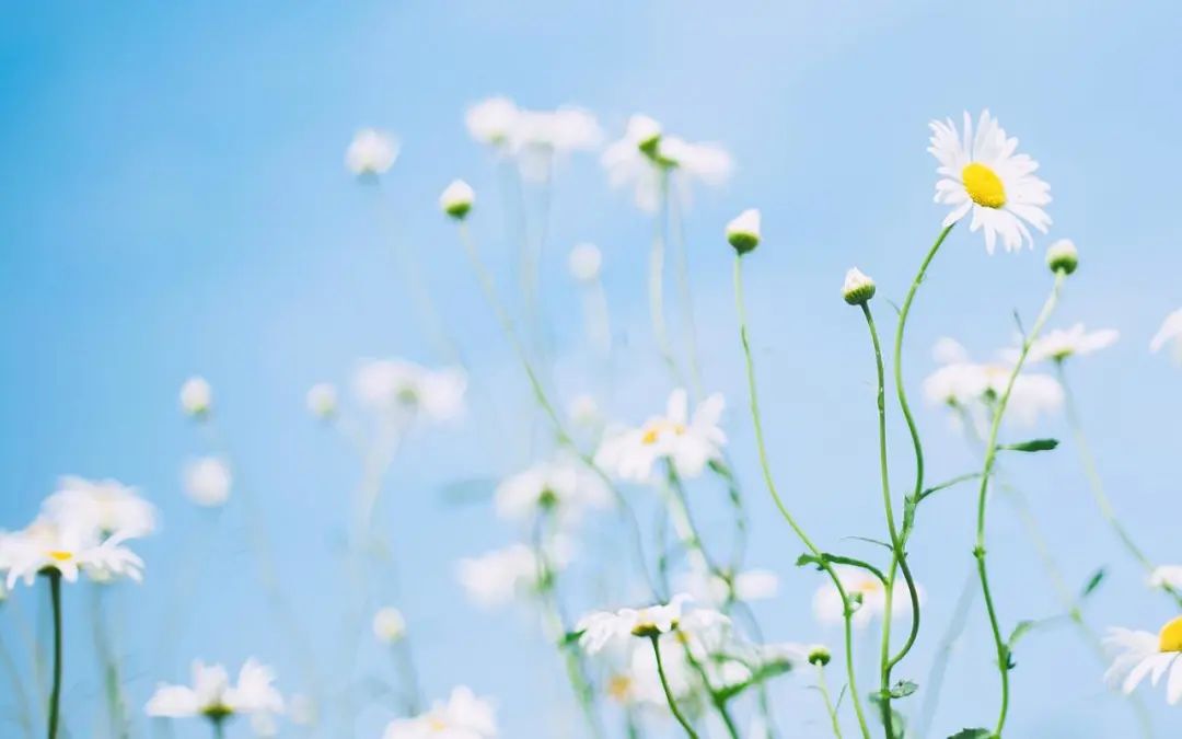 写给老师的祝福语，发朋友圈点赞连连!(图5)
