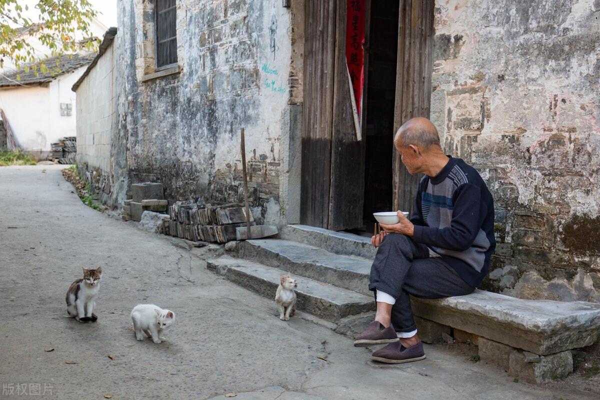 损人不带脏字！农村流传的20句“损人”歇后语，幽默又一针见血(图6)