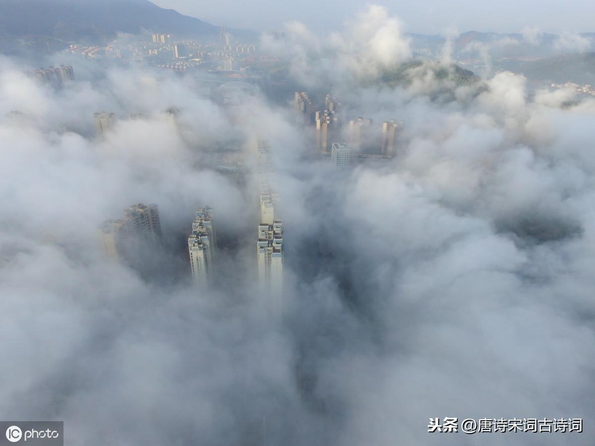 人生如棋，落子无悔(图4)