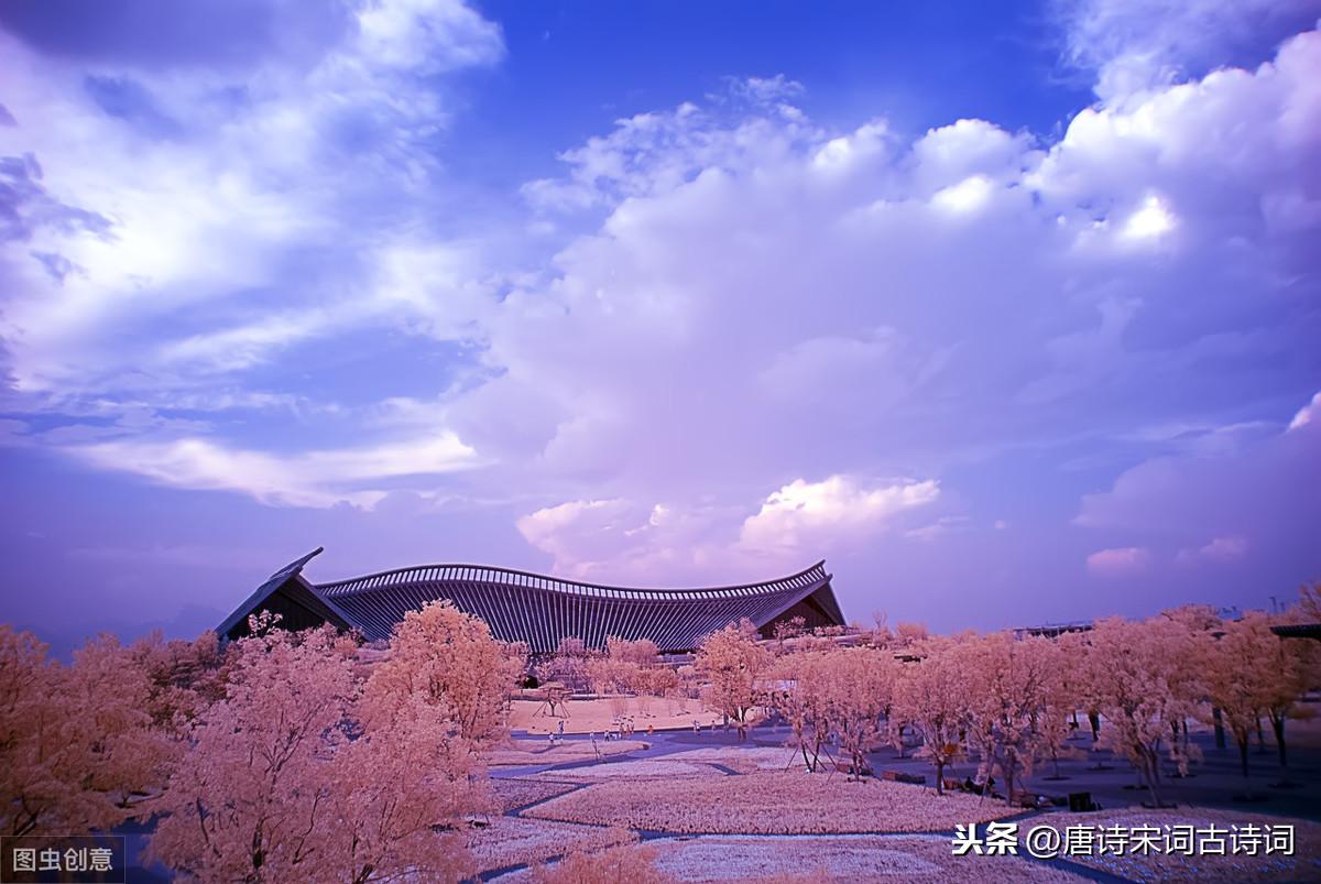 人生如棋，落子无悔(图5)