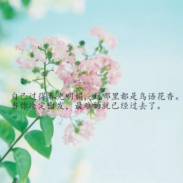 让你印象深刻的哲理句子：人生如棋，落子无悔！(图3)