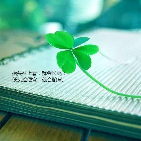 让你印象深刻的哲理句子：人生如棋，落子无悔！(图5)