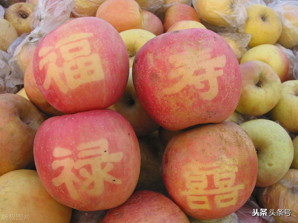 太平歌词，领词儿啦(图1)