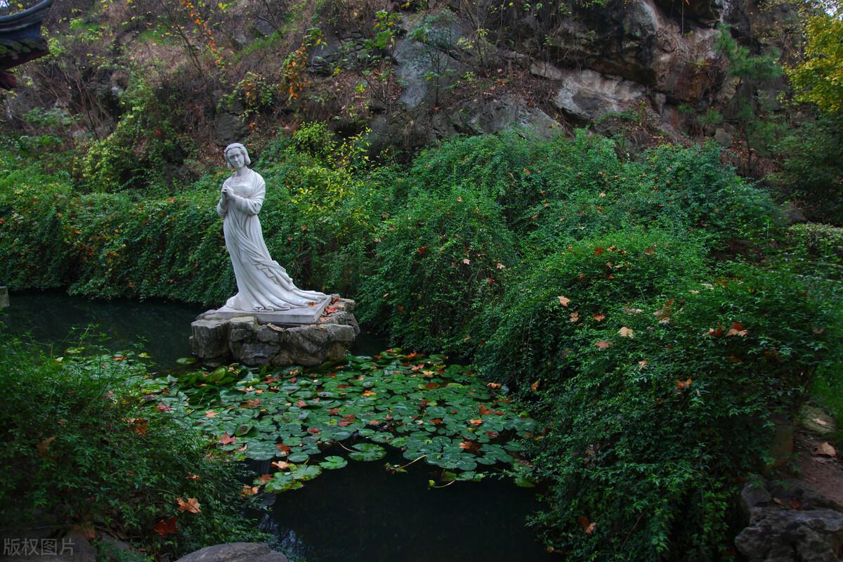 《金缕衣》诗赏析(图3)