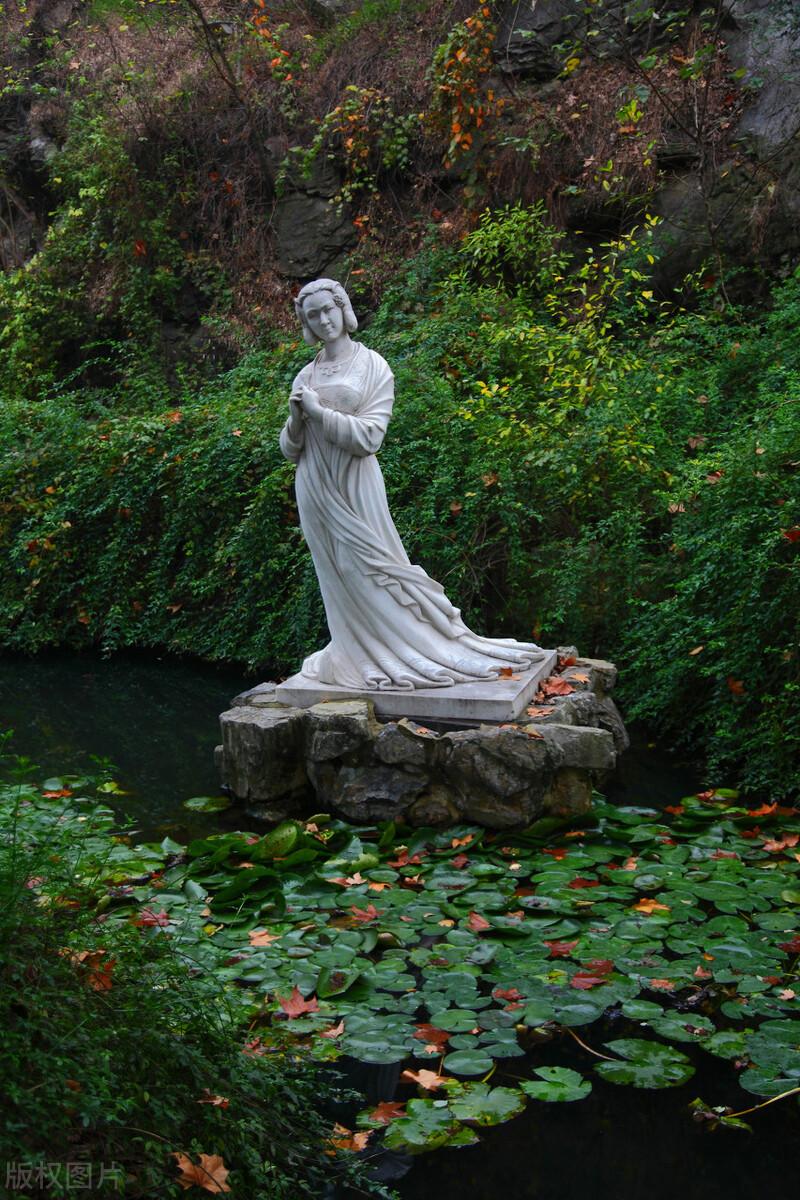 金缕衣诗歌赏析(图3)