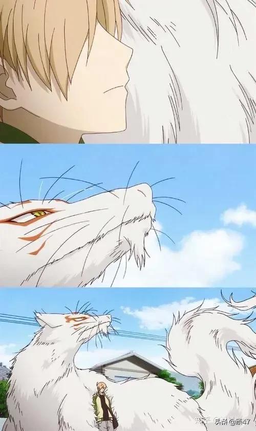 《夏目友人帐》金句摘抄，谁不喜欢温柔的夏目和傲娇的猫咪老师呢(图5)