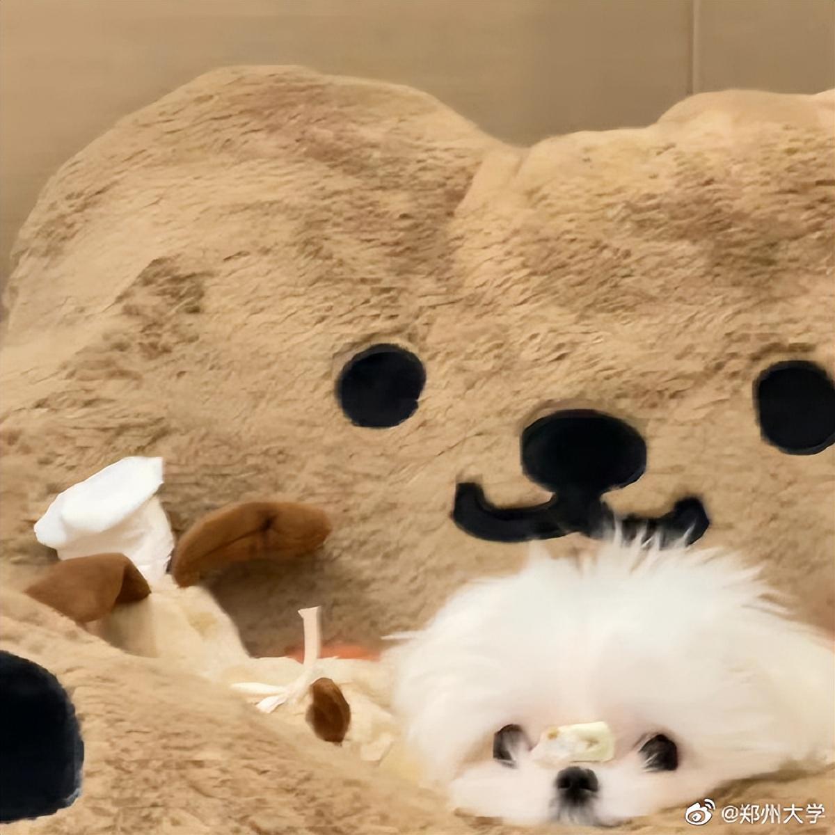 超火的小猫文学文案句子(图1)