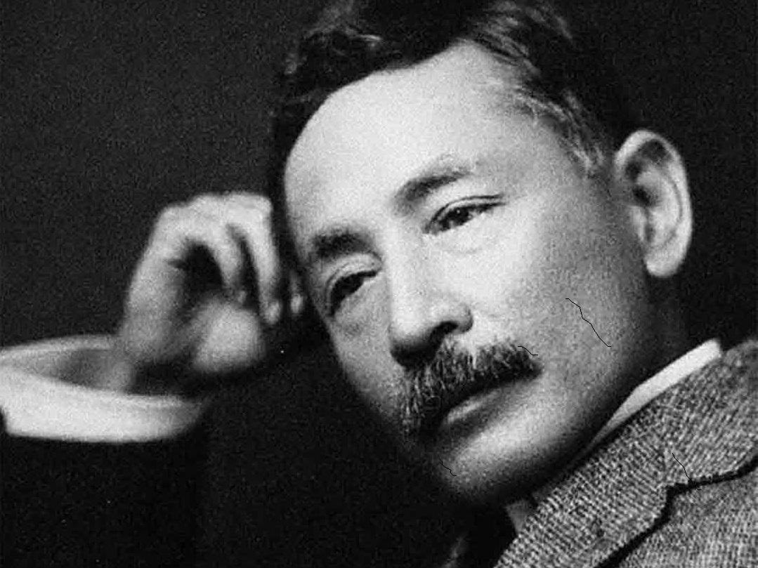 夏目漱石的《我是猫》，最经典的十段话，鲁迅评价"当世无匹"(图2)