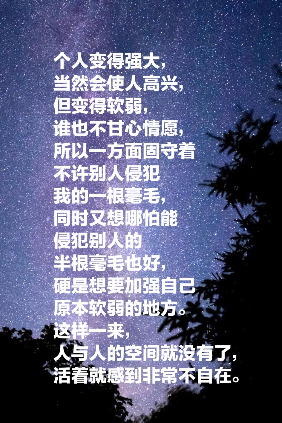 夏目漱石的《我是猫》，最经典的十段话，鲁迅评价"当世无匹"(图15)
