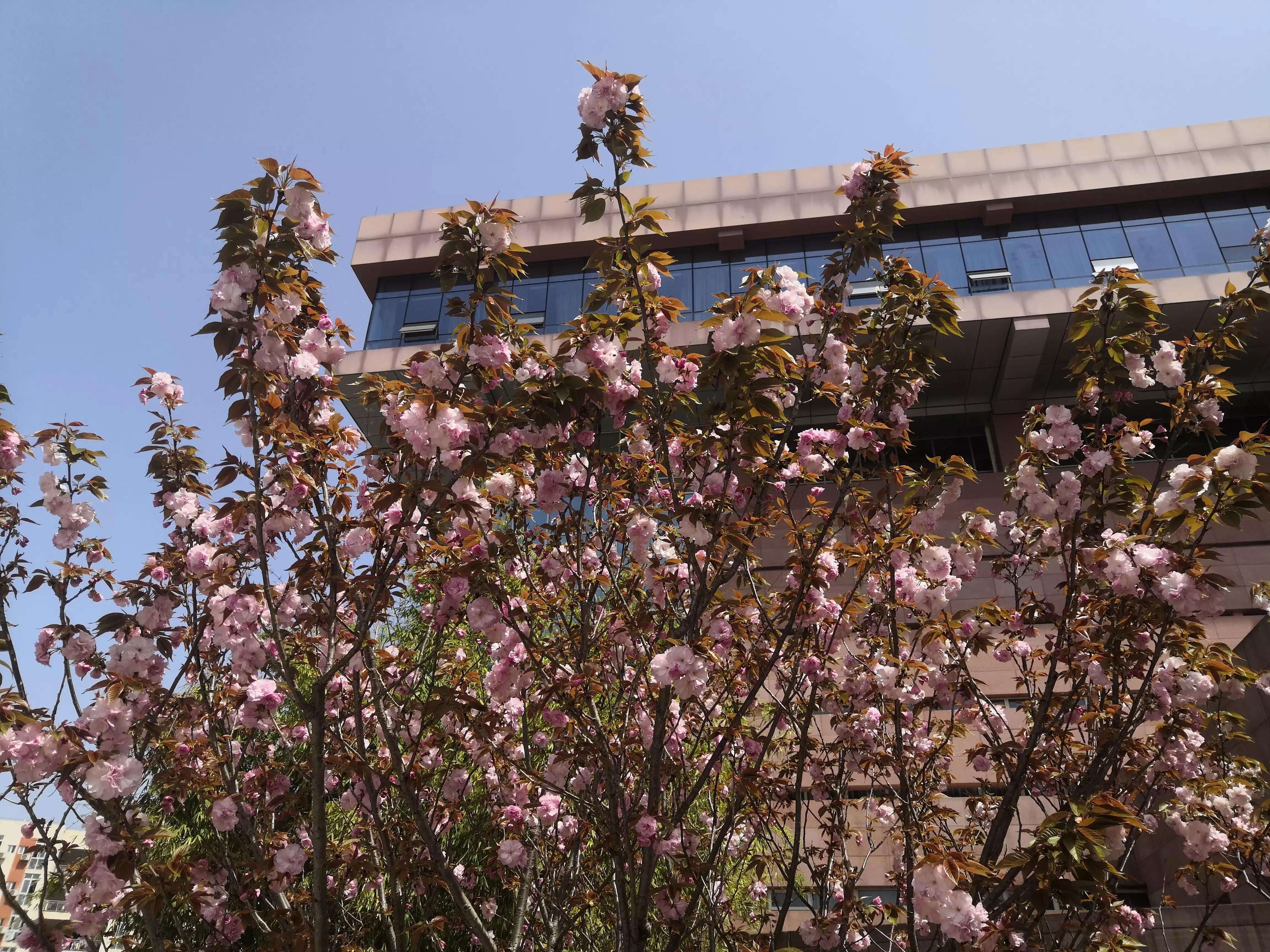 罗翔老师的爱情经典语录(图2)