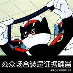 身为猫奴一定听过的劝退金句，今天咱们一起怒怼杠精(图9)