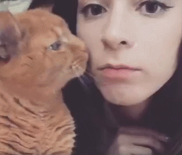 猫咪临终前，想跟你说的7句话，看完被它感动了(图9)