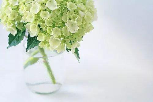 快乐人生的句子(图4)